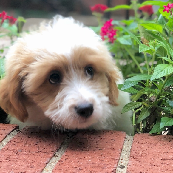 Welcome to my closet! ❤️🌎♻️ - Picture 3 of 14